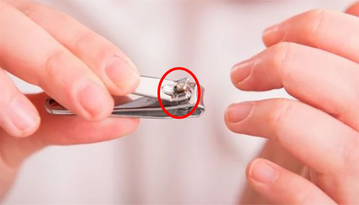 نیل کٹر کے اس ‘بٹن’ کی موجودگی کا مقصد جانتے ہیں؟