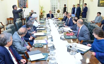 وفاقی حکومت کا ٹیکسٹائل،اسٹیل،پولٹری،تیل،گھی،ٹائرز کے شعبوں کی ڈیجیٹل نگرانی کا فیصلہ